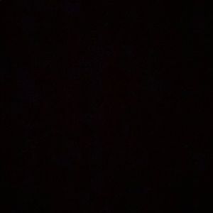 Meet your Posher, Isabella